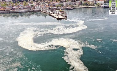 Prof. Dr.  Seval Sözen'den Marmara'ya ciddi uyarı: Müsilaj kabusu geri dönecek