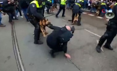 Hollanda polisi protestocuların üzerine köpek saldı