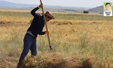 Çiftçi, fiyatları büyük zam gören gübre ve ilaca da erişemiyor