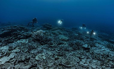 Bilim insanları Tahiti'de dünyanın en büyük mercan resiflerinden birini keşfetti