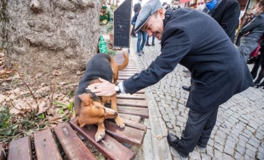 İzmir Büyükşehir Belediyesi ve Veteriner Hekimleri Odası'ndan sokak hayvanları iş birliği