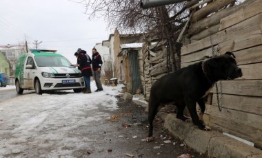 Pitbull ile sokağa çıkınca yaklaşık 15 bin TL para cezası aldı