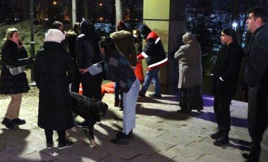 Ankara'da ölü bulunan 8 köpekte zehirlenme şüphesi