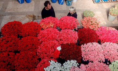 'Sevgililer Günü'  hareketliliği: 24 ülkeye 65 milyon dal çiçek gönderildi