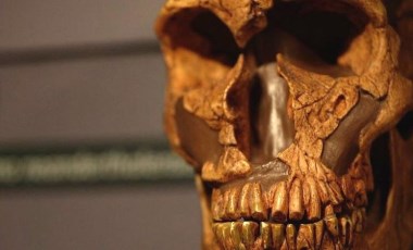 Neandertallerin soyu neden tükendi, köklerini modern insanların ataları mı kuruttu?