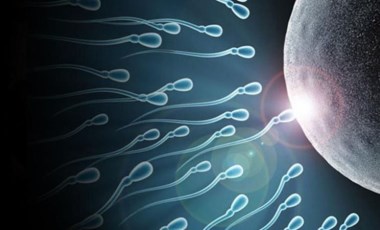 Çalışma hava kirliliğinin sperm kalitesini etkileyebileceğini gösteriyor