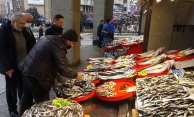 Hamsiden sonra istavrit de artık tezgahlardan çekiliyor