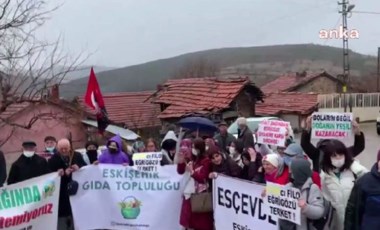 Eğrigöz Dağı'nda açılacak altın madenine tepki: 'Burayı harap etmek istiyorlar'