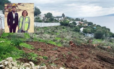 Bodrum'da büyük talan! Hazine'ye ait arazi AKP'ye yakın iş insanlarına satıldı, ağaçlar izinsiz kesildi