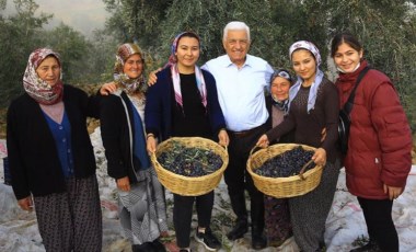 Başkan Gürün'den düzenlemeye tepki: Zeytini koruyacağız!