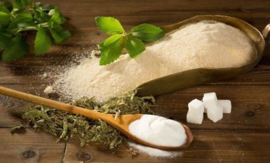 Stevia (şeker otu) nedir, faydaları neler, zararları var mı?