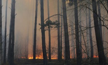 Çernobil'de 31 noktada yangın: Radyasyon seviyesinde artış