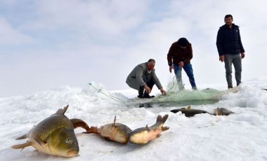 Erzincan'da sazan avı yasaklandı