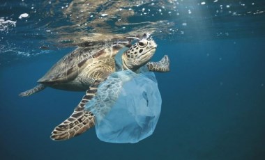 'Plastik krizinin' çözümü için umut doğdu: BM üyeleri uluslararası anlaşma için müzakerelere başlayacak