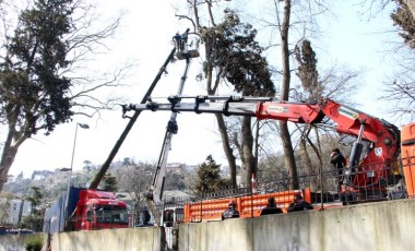 Sarıyer'de TIR ağaca çarptı; yol trafiğe kapandı