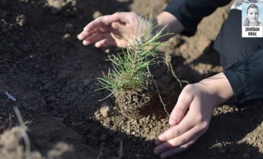 Opet’in ‘Kadın Gücü’ orman oluyor