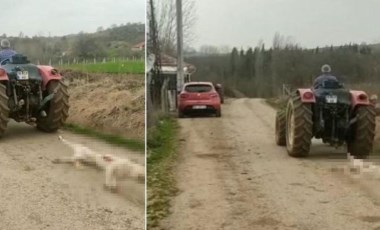 Vicdansızlık: Hamile köpeği öldürdü, traktörün arkasına bağlayıp sürükledi!