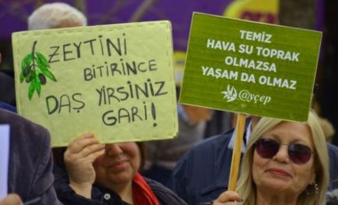 'Zeytinlikleri ve geleceği yok etmeyin'