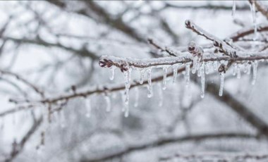 Meteoroloji'den 5 il için zirai don uyarısı