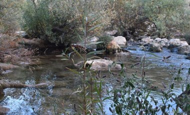 Mahkeme, Zorava Çayı HES projesini iptal etti