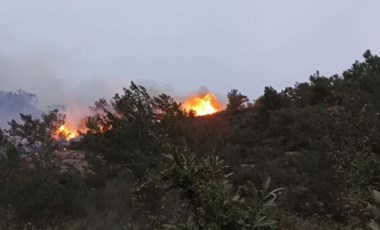 Bodrum'da orman ve makilik yangını (17 Nisan 2022) (Video Haber)