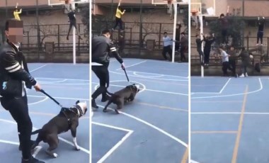 Görülmemiş 'şaka': Basketbol sahasına köpekle daldı, çocuklar panikle etrafa kaçıştı