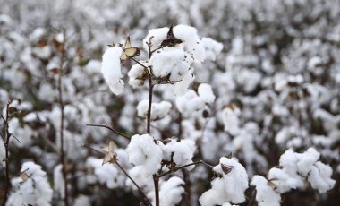 Emtia piyasasında fiyatlamalar zorlaştı: Küresel çapta endişeler hâkim