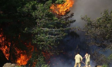 Hatay’daki yangınla ilgili 2 gözaltı