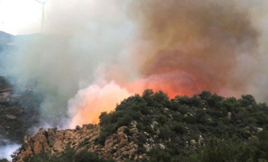 Bodrum'daki ormanlık ve makilik yangınıyla ilgili 3 şüpheli gözaltına alındı