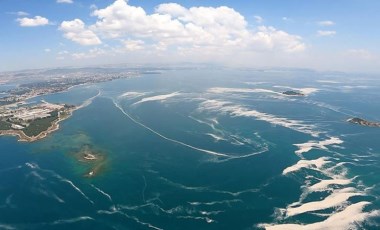 Marmara Denizi'ndeki 'oksijen azlığı' alarm veriyor