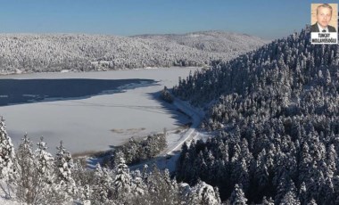 Bolu Kartalkaya'da ormanlık alanı kendi malı gibi gösterdiler, sahte tapuyla kredi kullandılar