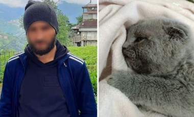 Duvara fırlatmıştı: Kedi katiline 2 yıl hapis! (27 Nisan 2022) (Video Haber)