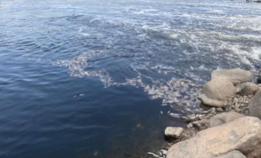 Dicle Nehri'nde ölen binlerce balık su yüzeyine çıktı