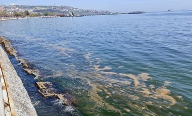 Prof. Dr. Tecer: Marmara Denizi'nde yeniden görülen müsilaj, dibe çökenler (28 Nisan 2022)