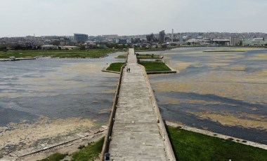 Büyükçekmece Gölü'nde yosun istilası