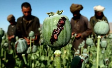 Taliban uyuşturucu ile sarhoşluk veren tüm maddelerin üretim ve tüketimini yasakladı