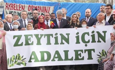 İYİ Parti'den zeytinliklerin kesilmesine protesto