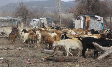 Eskişehir'de bir ilçe salgın hastalık nedeniyle karantinaya alındı