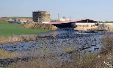 Edirne’de çevre katliamı: Tonlarca zift çevreye yayılıyor (06 Nisan 2022)