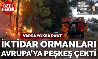 İktidar, ormanları yandaş firmalar aracılığıyla Avrupa’ya peşkeş çekti