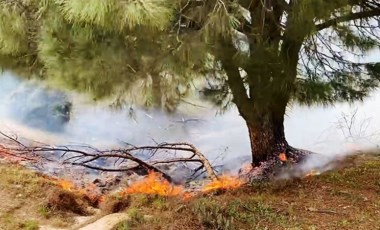 Muğla'da orman yangını!