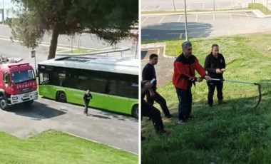 Belediye otobüsünde 'yılan' paniği