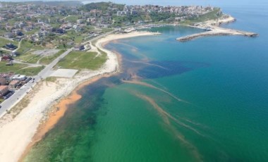 Karadeniz'de korkutan renk değişimi (14 Mayıs 2022) (Video Haber)