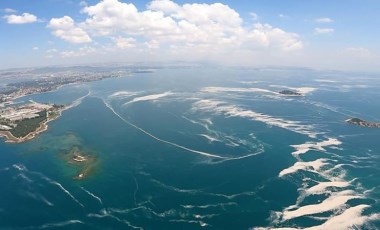 Küresel ısınma balık türlerini vurdu: Marmara'da balık azalıyor