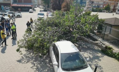 Bursa'da rüzgarda okul girişindeki ağaç devrildi, 1 kişi yaralandı