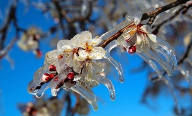 Meteoroloji'den zirai don uyarısı