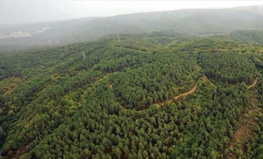 Hatay’da ormanlık alanlara giriş yasaklandı