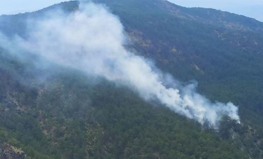 Muğla'daki orman yangını söndürüldü