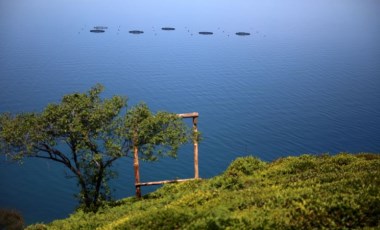 Rizeliler, uzaya çay gönderme denemesi yapacak