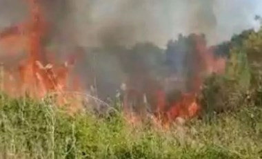 Temizlik işçisinin ihbarda bulunduğu meyve bahçesindeki yangın söndürüldü